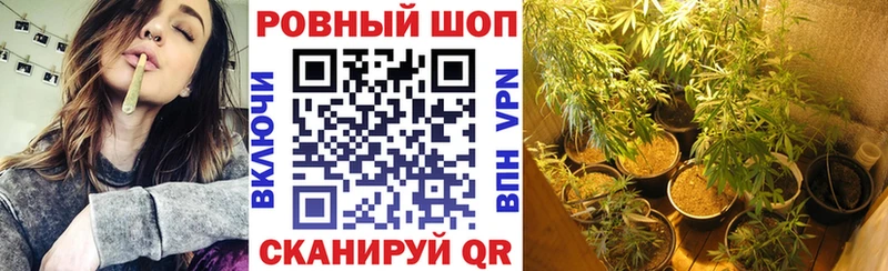 Как найти закладки Пущино Alpha-PVP COCAIN ГАШИШ Мефедрон Бошки Шишки